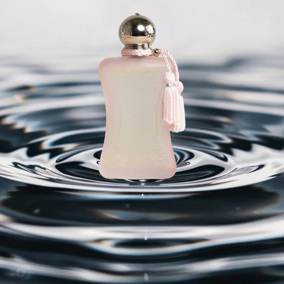 PDM DELINA LA ROOSE TYPE FORMULA